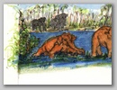 elephant1.jpg