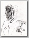elephants24.jpg