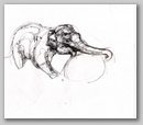 elephants27.jpg